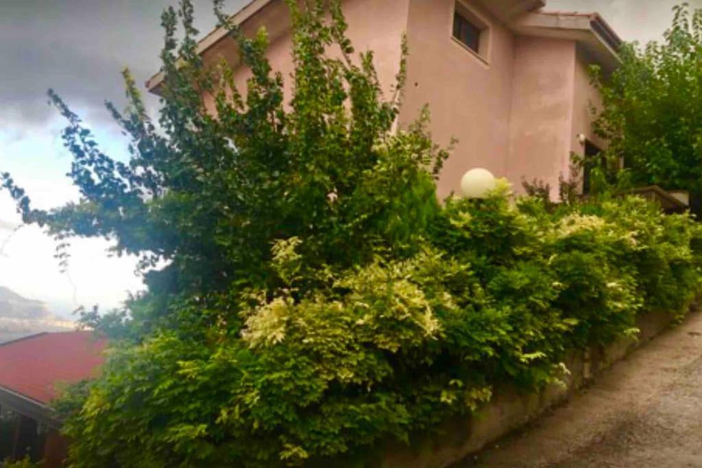 AltofonteIl Panorama公寓 外观 照片